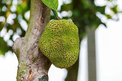 《暗区突围：无限》第一赛季开启 新地图模式上线